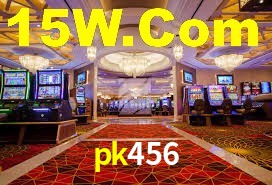 VIP Casino pk456
