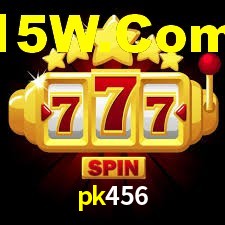 Premium Interface pk456
